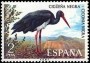 动物:欧洲:西班牙:es197302.jpg