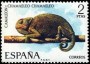 动物:欧洲:西班牙:es197402.jpg