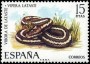 动物:欧洲:西班牙:es197405.jpg