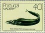 动物:欧洲:马德拉群岛:ptm198501.jpg