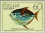 动物:欧洲:马德拉群岛:ptm198502.jpg