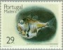 动物:欧洲:马德拉群岛:ptm198901.jpg