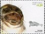 动物:欧洲:马德拉群岛:ptm200701.jpg