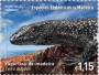 动物:欧洲:马德拉群岛:ptm202303.jpg