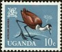 动物:非洲:乌干达:ug196504.jpg