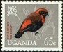动物:非洲:乌干达:ug196510.jpg