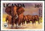 动物:非洲:乌干达:ug198303.jpg