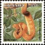 动物:非洲:乌干达:ug199507.jpg