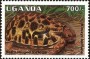 动物:非洲:乌干达:ug199509.jpg