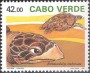 动物:非洲:佛得角:cv199005.jpg