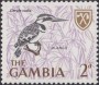 动物:非洲:冈比亚:gm196604.jpg