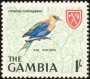 动物:非洲:冈比亚:gm196608.jpg