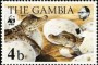 动物:非洲:冈比亚:gm198401.jpg