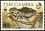 动物:非洲:冈比亚:gm198402.jpg