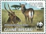 动物:非洲:几内亚比绍:gw200801.jpg