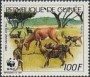 动物:非洲:几内亚:gn198703.jpg