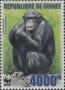 动物:非洲:几内亚:gn200601.jpg