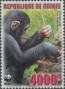 动物:非洲:几内亚:gn200602.jpg