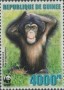 动物:非洲:几内亚:gn200604.jpg