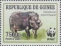 动物:非洲:几内亚:gn200901.jpg