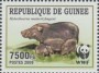 动物:非洲:几内亚:gn200904.jpg