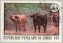 动物:非洲:刚果:cg197802.jpg