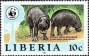动物:非洲:利比里亚:lr198402.jpg