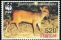 动物:非洲:利比里亚:lr200503.jpg