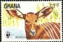 动物:非洲:加纳:gh198401.jpg