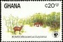 动物:非洲:加纳:gh198404.jpg