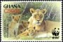 动物:非洲:加纳:gh200404.jpg