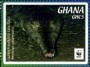 动物:非洲:加纳:gh201603.jpg