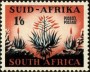动物:非洲:南非:za195302.jpg
