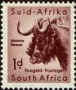 动物:非洲:南非:za195402.jpg