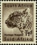 动物:非洲:南非:za195403.jpg