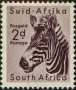 动物:非洲:南非:za195404.jpg