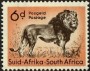 动物:非洲:南非:za195408.jpg