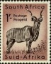 动物:非洲:南非:za195409.jpg
