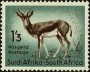 动物:非洲:南非:za195410.jpg