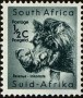 动物:非洲:南非:za196101.jpg