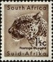 动物:非洲:南非:za196103.jpg