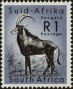 动物:非洲:南非:za196109.jpg