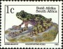 动物:非洲:南非:za199301.jpg