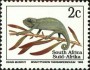 动物:非洲:南非:za199302.jpg