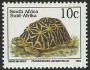 动物:非洲:南非:za199304.jpg