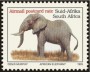 动物:非洲:南非:za199605.jpg