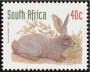 动物:非洲:南非:za199811.jpg