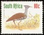 动物:非洲:南非:za199814.jpg
