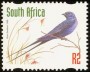 动物:非洲:南非:za199815.jpg