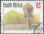 动物:非洲:南非:za199816.jpg
